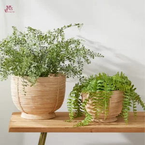 rattan planters