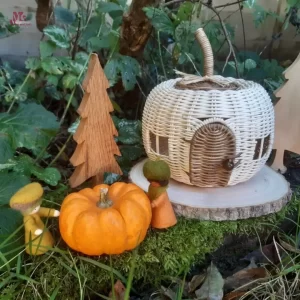 Rattan Pumpkin House