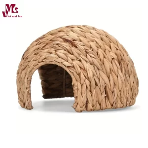 Natural Rabbit Tunnel