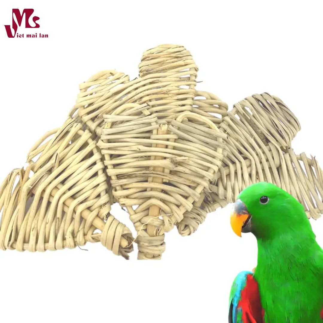 Bird toy