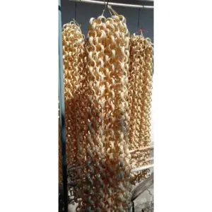 bamboo ring
