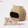 Cat Bed