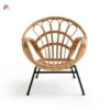 Rattan Armchair