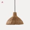 Indoor ceiling lamps
