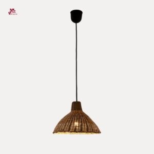 Indoor ceiling lamps
