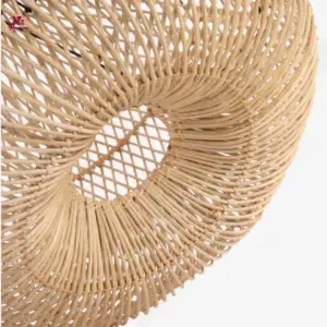 Restaurant Ceiling Light