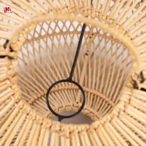 Restaurant Ceiling Light