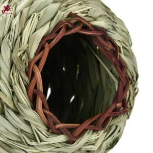 Grass Bird House