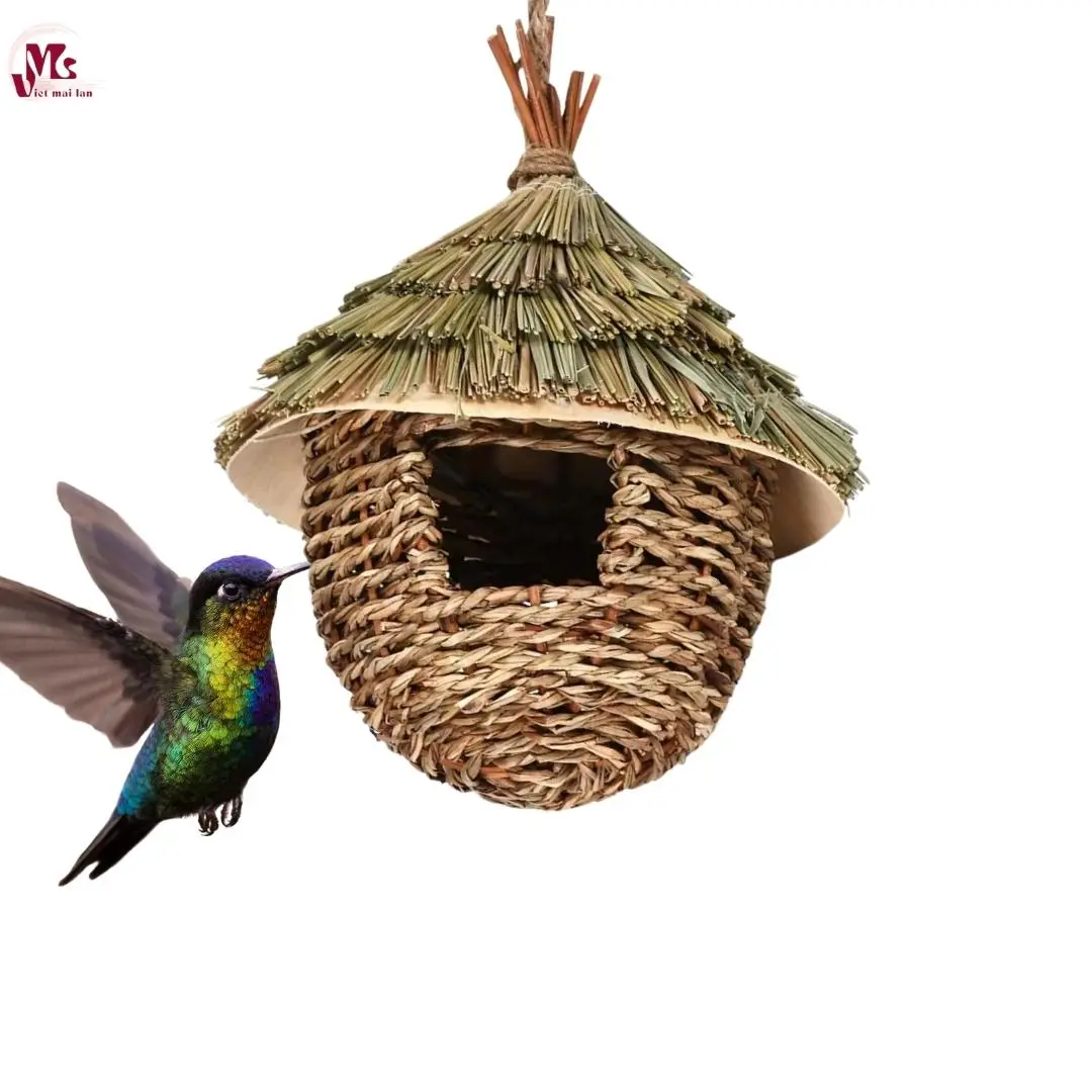 Bird Nest