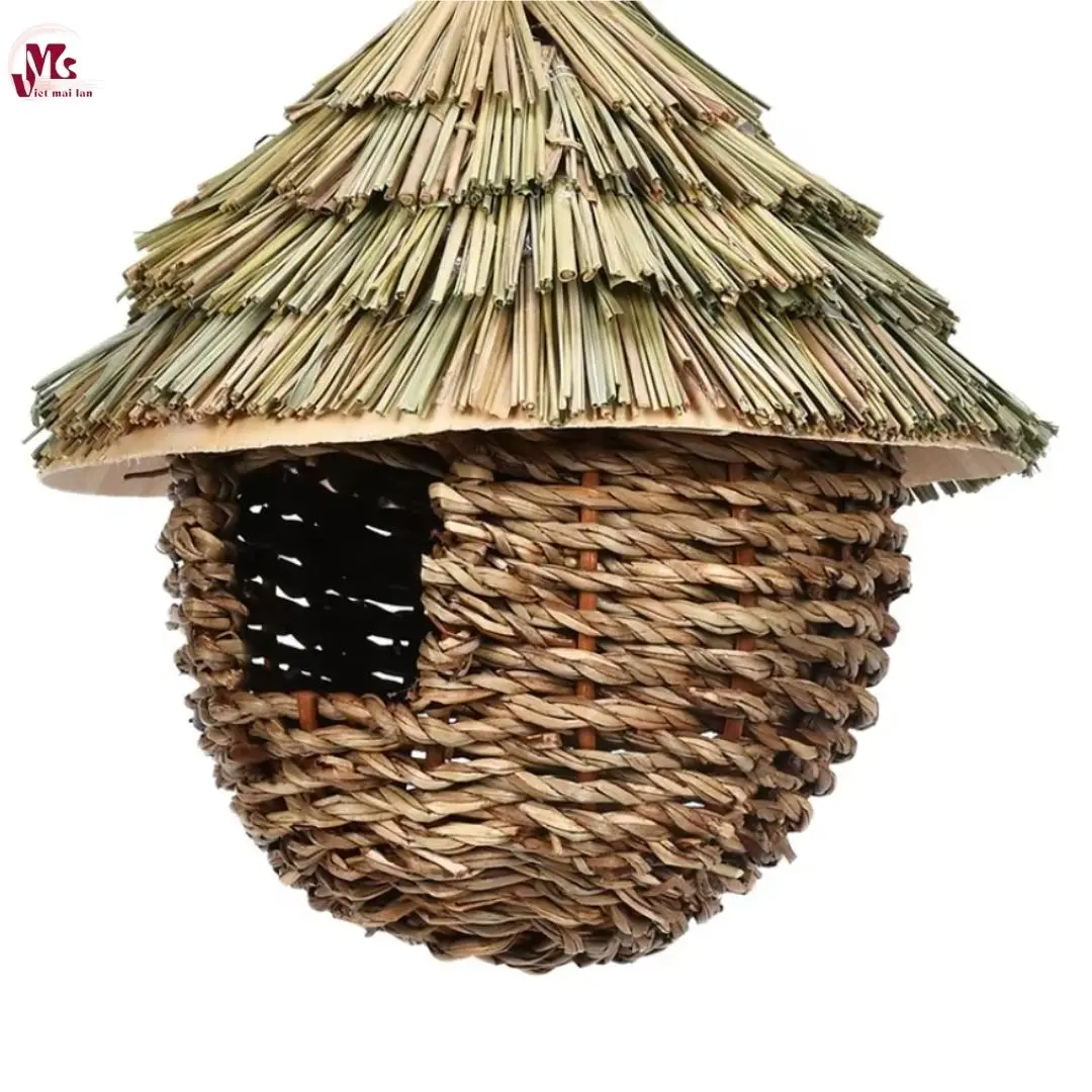 Bird Nest