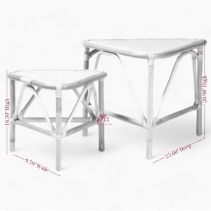 Set of 2 Rattan Coffee Table