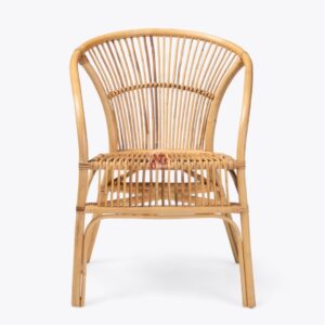 Luxury Rattan Dining Chair