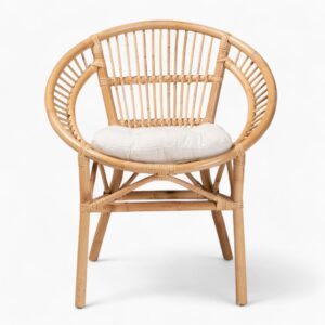 Rattan Dining Chairs for Dining Room Kitchen