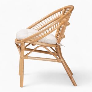 Rattan Dining Chairs for Dining Room Kitchen