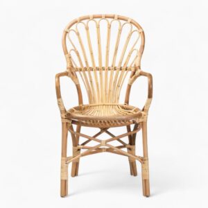 Rattan Accent Dining Chairs With Armrests