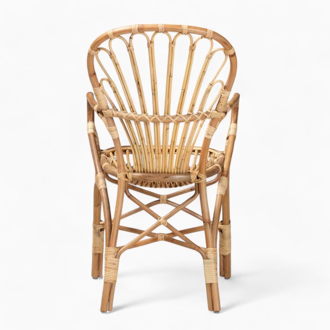 Rattan Accent Dining Chairs With Armrests