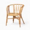 Rattan Accent Dining Chairs