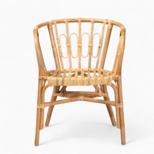 Rattan Accent Dining Chairs