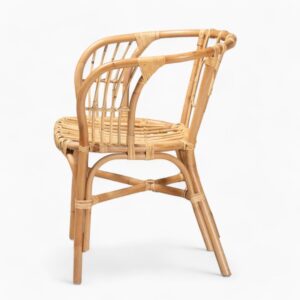 Rattan Accent Dining Chairs