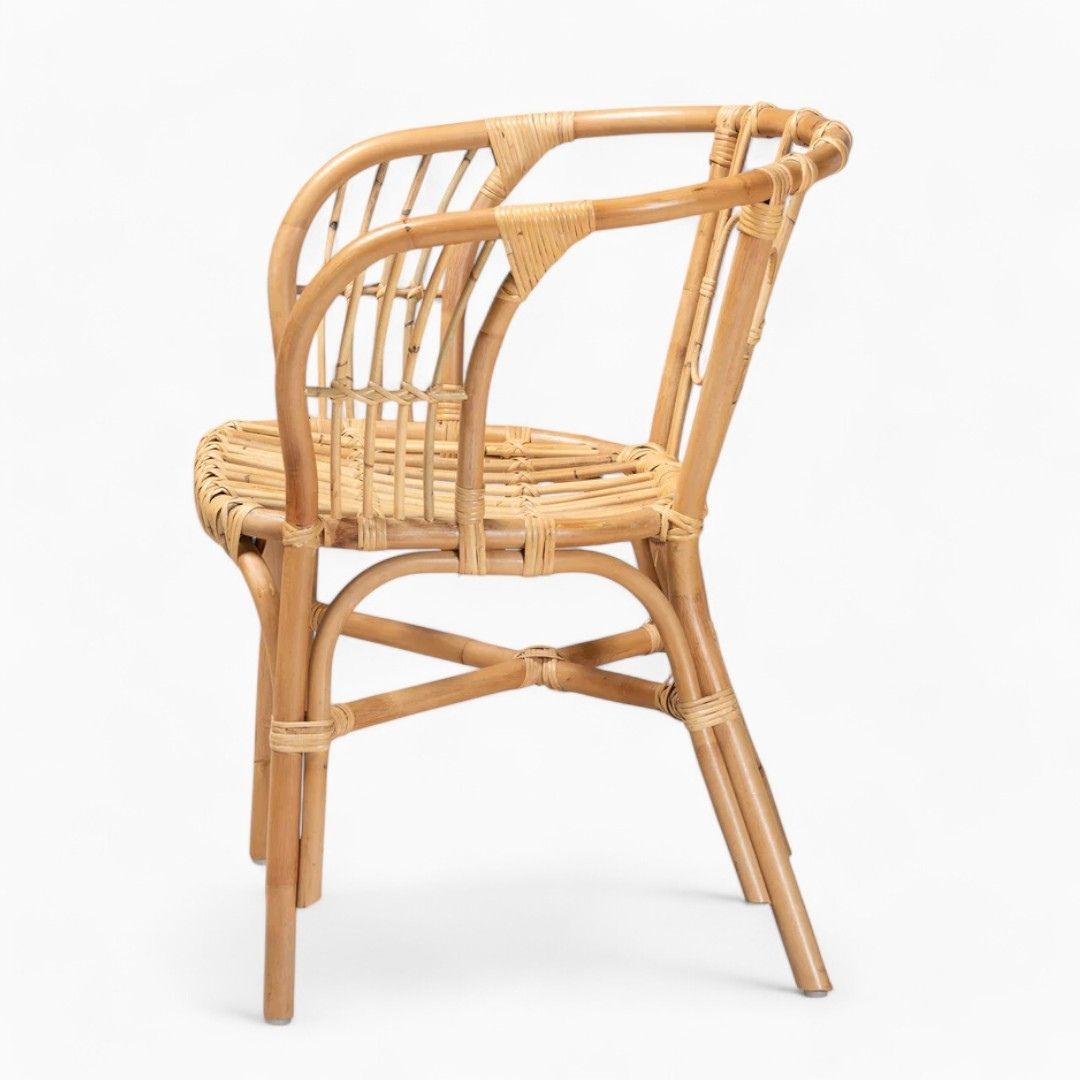 Rattan Accent Dining Chairs