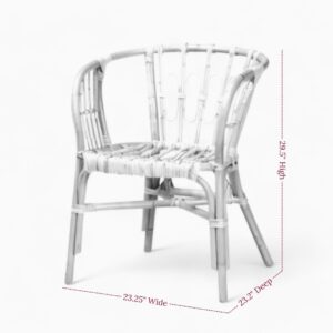 Rattan Accent Dining Chairs
