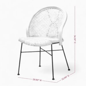 Modern Wicker Dining Chair with Iron Legs