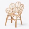 Rattan Arm Chair for Living Room