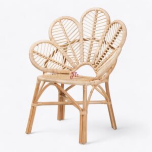 Rattan Arm Chair for Living Room