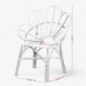 Rattan Arm Chair for Living Room