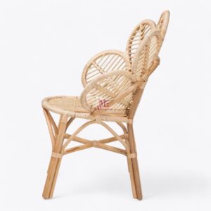 Rattan Arm Chair for Living Room