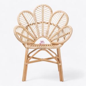 Rattan Arm Chair for Living Room