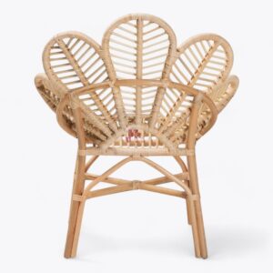 Rattan Arm Chair for Living Room