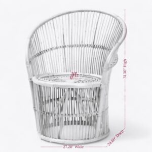 Rattan Cane Arm Chair