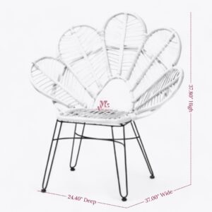 Black and Rattan Arm Chair