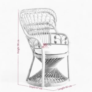 Accent Rattan Lounge Chair