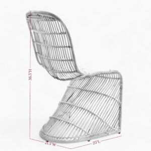 Simple Rattan Lounge Chair