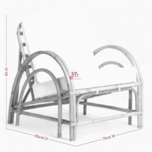 Wicker Lounge Chair for Living Room