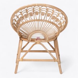 Rattan Accent Arm Chair