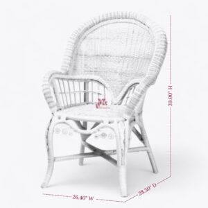 Woven Rattan Arm Chair