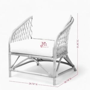 Wicker Rattan Chair for Living Room