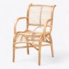 Rattan Arm Chair