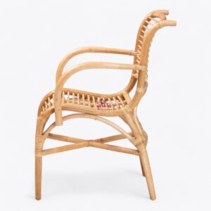 Rattan Arm Chair