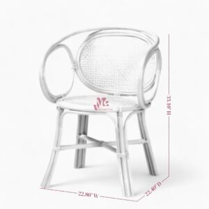 Indoor Modern Rattan Dining Chair