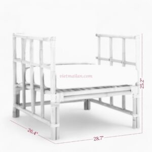 Mid Century Modern Rattan Lounge Chair