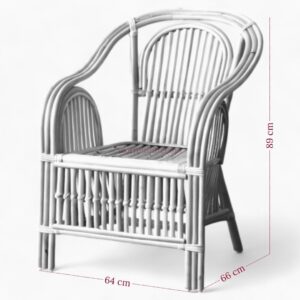 Natural Rattan Arm Chair