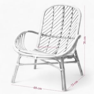 Vintage Rattan Lounge Chair