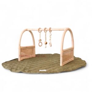 Modern Rattan Play Gym