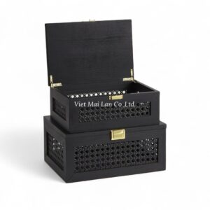 Modern Black Rattan Box