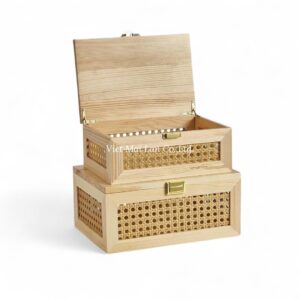 Modern Rattan Box