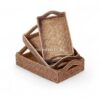 Natural Rectangular Rattan Tray Set
